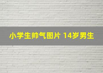 小学生帅气图片 14岁男生